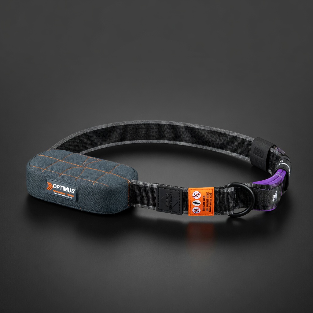 Resistance Band Door Anchor